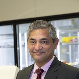 Prof Pravin Hissaria